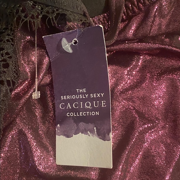 Cacique collection lingerie size 26/28 NWT - Picture 6 of 12